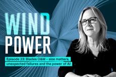 Blades O&M – size matters, unexpected failures and the power of AI